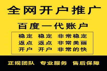 实战派经验分享：百度竞价代理成功案例揭秘
