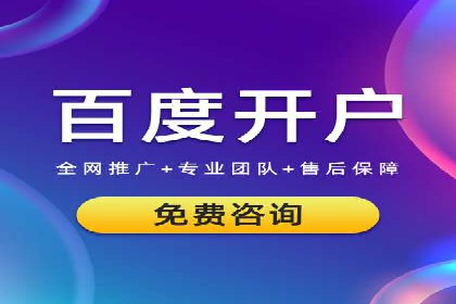 百度推广实战：案例分享与数据解读